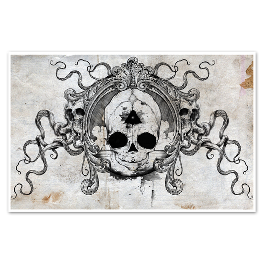 Fetal Skull Print